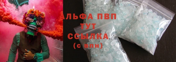 PSILOCYBIN Каменка