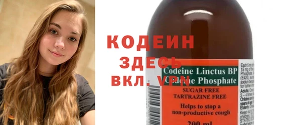 PSILOCYBIN Каменка