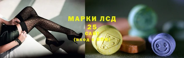PSILOCYBIN Каменка