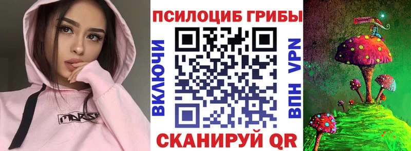 Псилоцибиновые грибы GOLDEN TEACHER  Купить закладки  Сосновка 